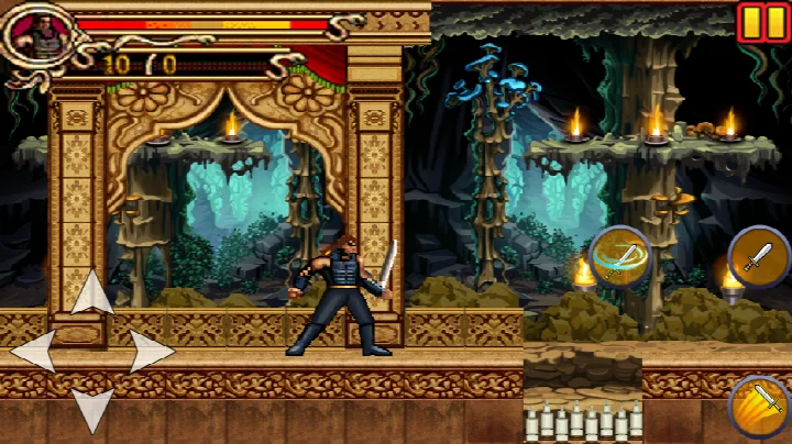 Screen depicting the magical healer Siri and the prince navigating a perilous level.