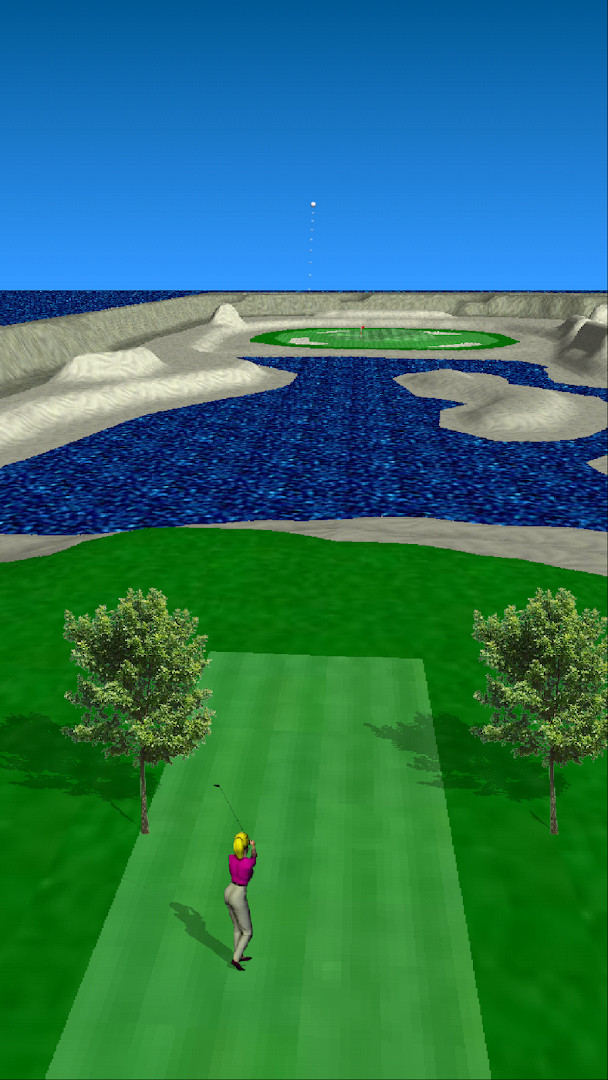 Hole overview in Par 3 Golf Lite with green and flag visible